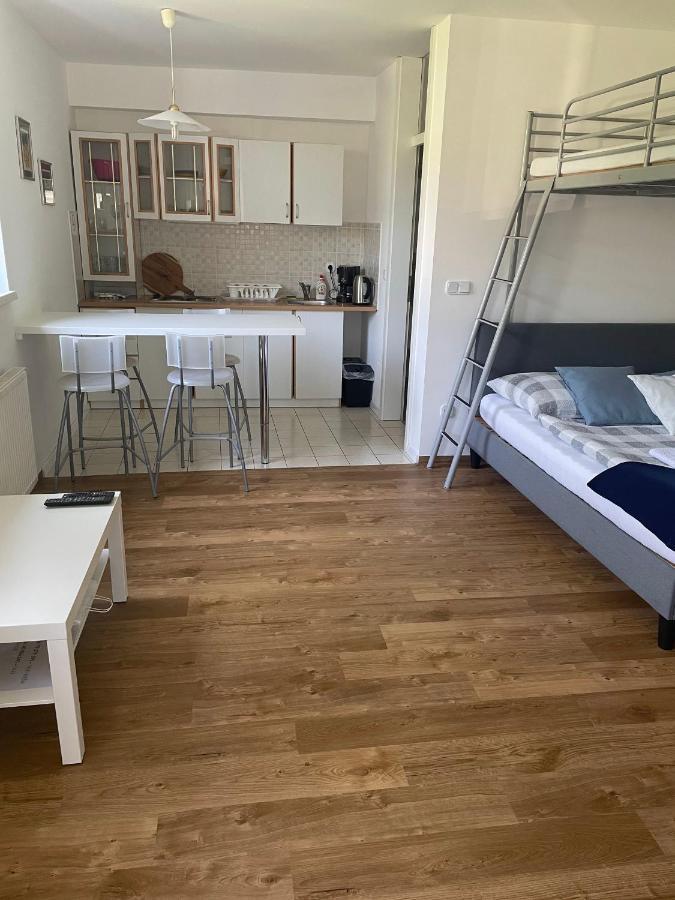 Studio apartment Ta5ek Jesenice Buitenkant foto